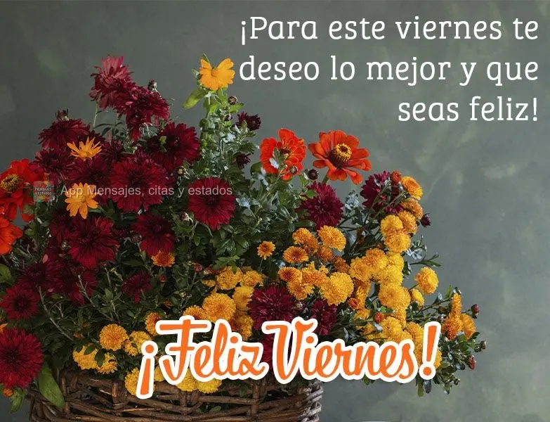 ¡Para este viernes te deseo lo mejor y que seas feliz! ¡Feliz viernes!