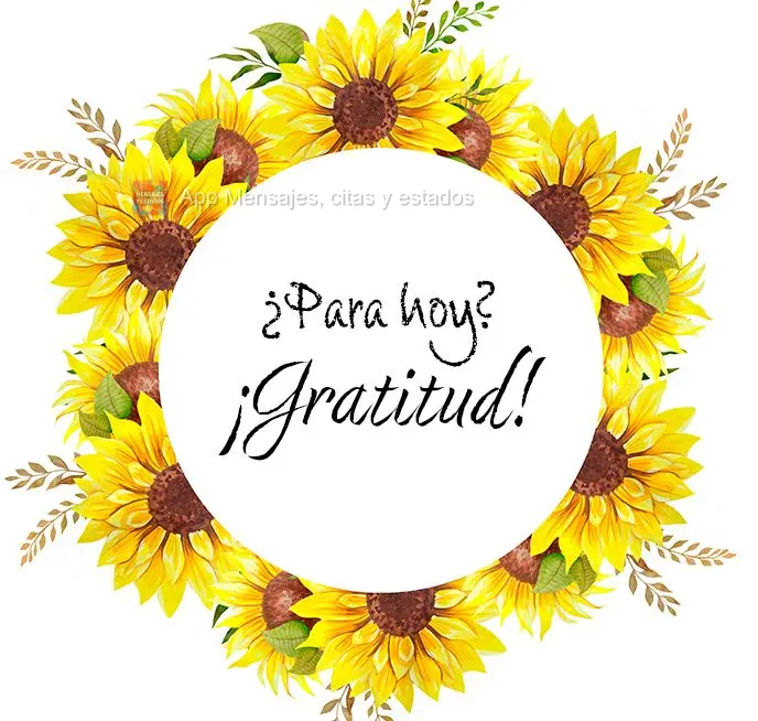 ¿Para hoy? ¡Gratitud!