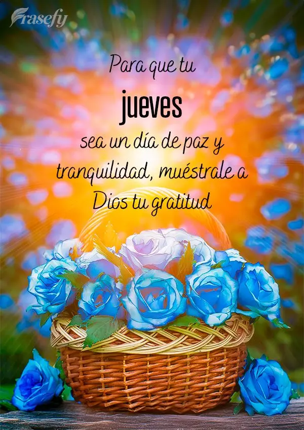 Para que sua Quinta-feira seja um dia de paz e tranquilidade, mostre a Deus a sua gratidão
