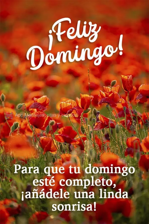Para que tu domingo esté completo, ¡añádele una linda sonrisa! ¡Feliz domingo!