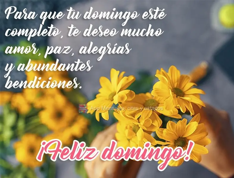 Para que tu domingo esté completo, te deseo mucho amor, paz, alegrías y abundantes bendiciones.  ¡Feliz domingo!