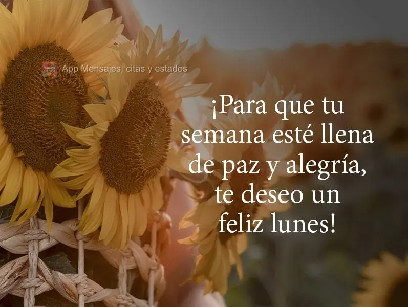 ¡Para que tu semana esté llena de paz y alegría, te deseo un feliz lunes!