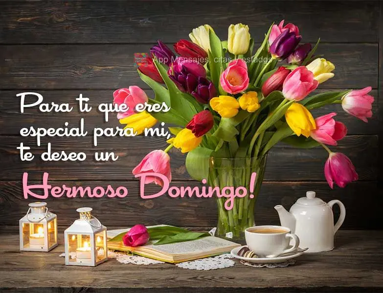 Para ti que eres especial para mi, te deseo un Hermoso Domingo!