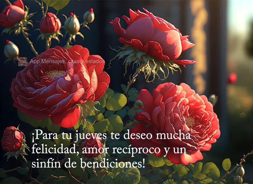¡Para tu jueves te deseo mucha felicidad, amor recíproco y un sinfín de bendiciones!