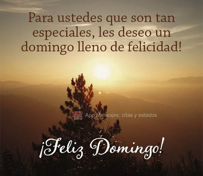 Para ustedes que son tan especiales, les deseo un domingo lleno de felicidad! ¡Feliz domingo!
