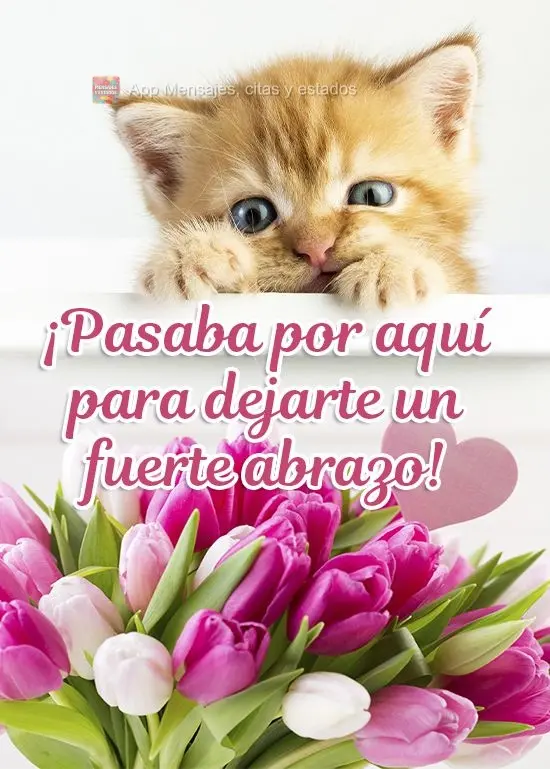 ¡Pasaba por aquí para dejarte un fuerte abrazo!