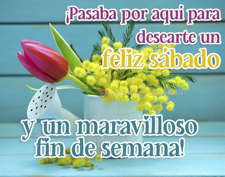 ¡Pasaba por aquí para desearte un feliz sábado y un maravilloso fin de semana!