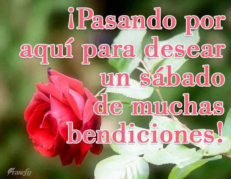 ¡Pasando por aquí para desear un sábado de muchas bendiciones!