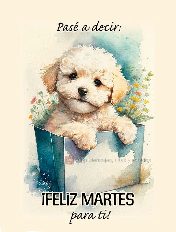 Pasé a decir: ¡Feliz martes para ti!