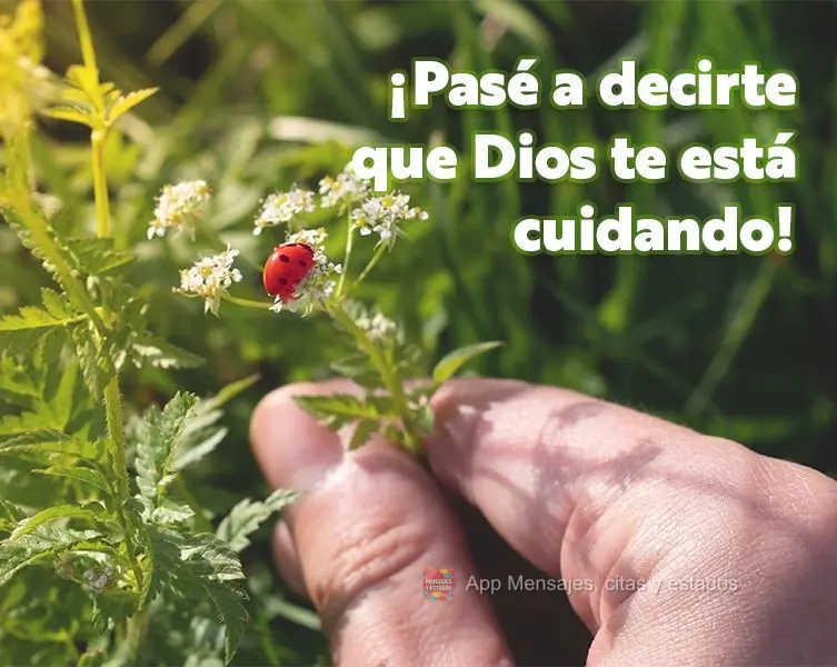 ¡Pasé a decirte que Dios te está cuidando!