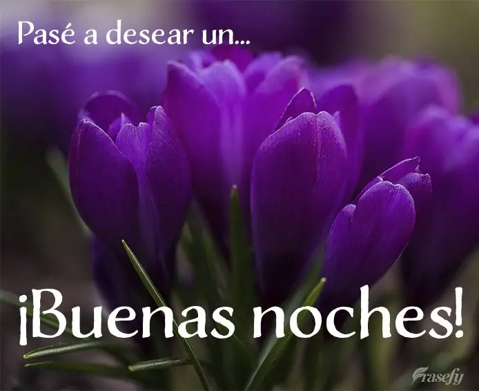 Pasé a desearte... ¡Buenas noches!