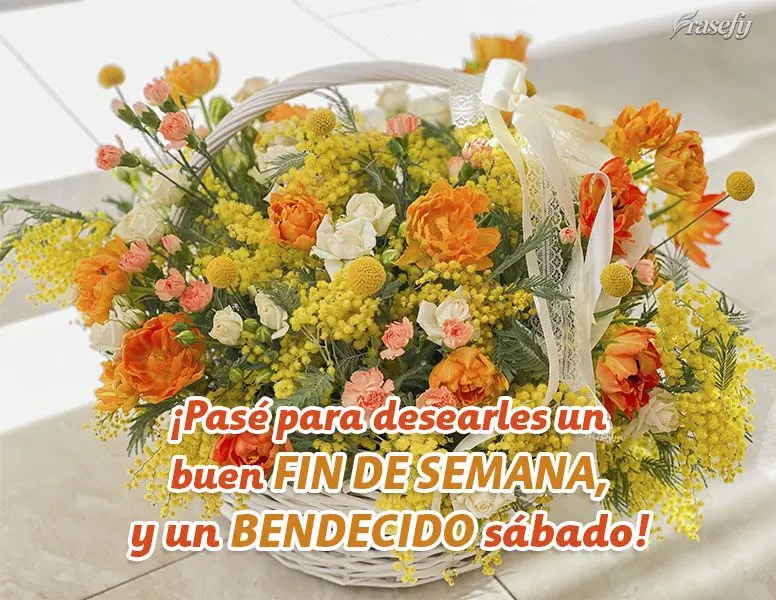 ¡Pasé para desearles un buen fin de semana y un bendecido sábado!