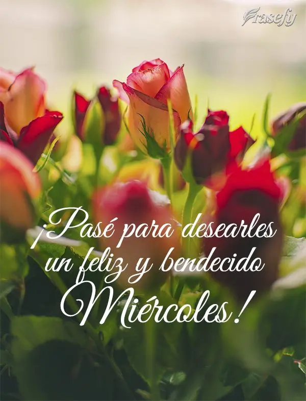 ¡Pasé para desearles un feliz y bendecido miércoles!
