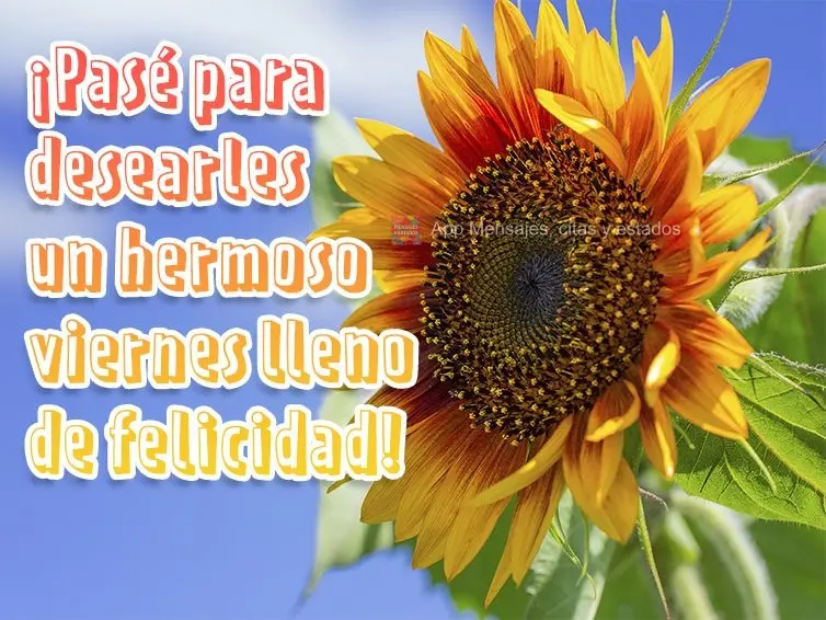 ¡Pasé para desearles un hermoso viernes lleno de felicidad!