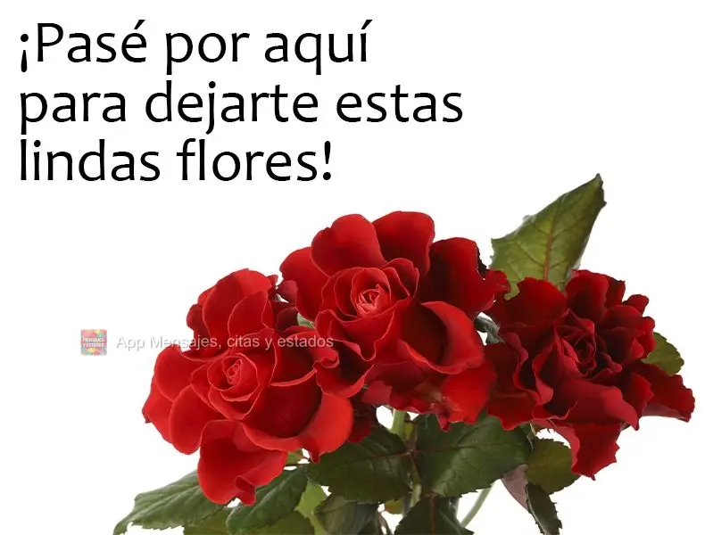 ¡Pasé por aquí para dejarte estas lindas flores!