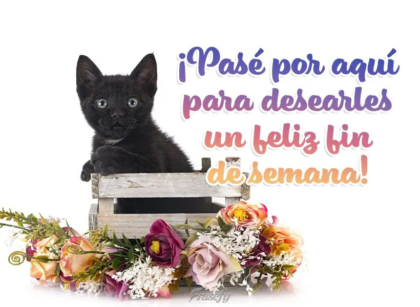 ¡Pasé por aquí para desearles un feliz fin de semana!