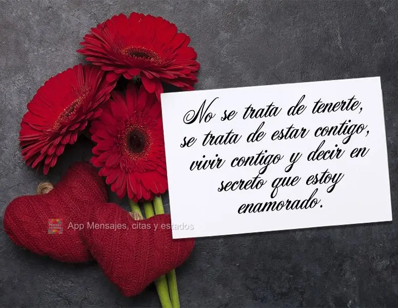 No se trata de tenerte, se trata de estar contigo, vivir contigo y decir en secreto que estoy enamorado.