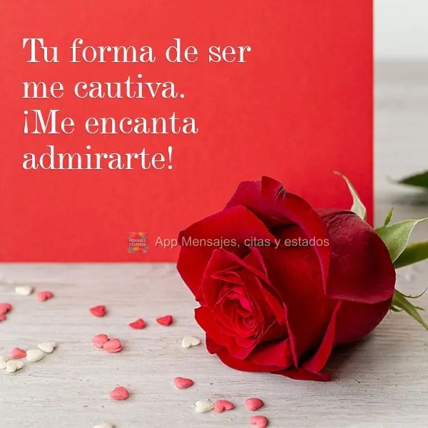Tu forma de ser me cautiva. ¡Me encanta admirarte!