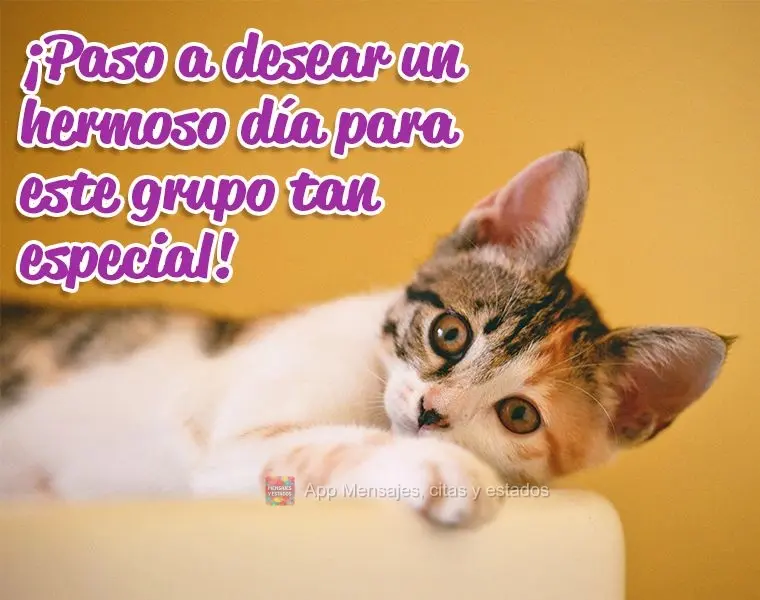 ¡Paso a desear un hermoso día para este grupo tan especial! 