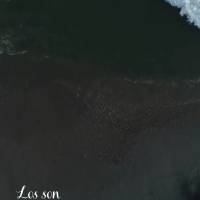 Los sonidos de la naturaleza son una melodía que calma el alma y renueva la energía.
