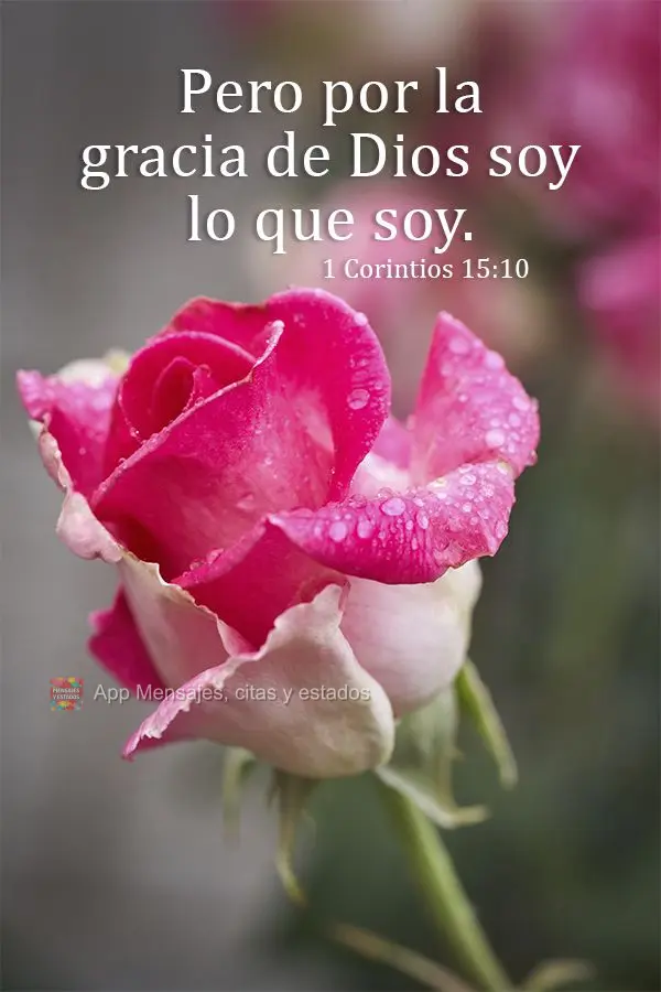"Pero por la gracia de Dios soy lo que soy". 1 Corintios 15:10