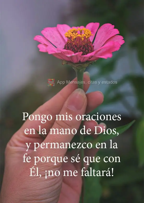 Pongo mis oraciones en la mano de Dios, y permanezco en la fe porque sé que con Él, ¡no me faltará!