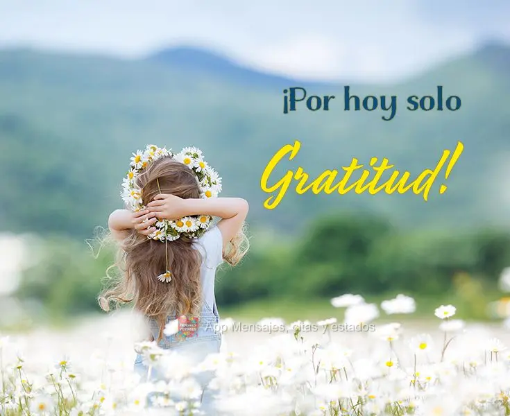 ¡Por hoy solo gratitud!