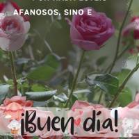Por nada estéis afanosos, sino en todo, con oración y ruego, y con acción de gracias, presentad vuestras peticiones a Dios.
Filipenses 4:6
buen día...