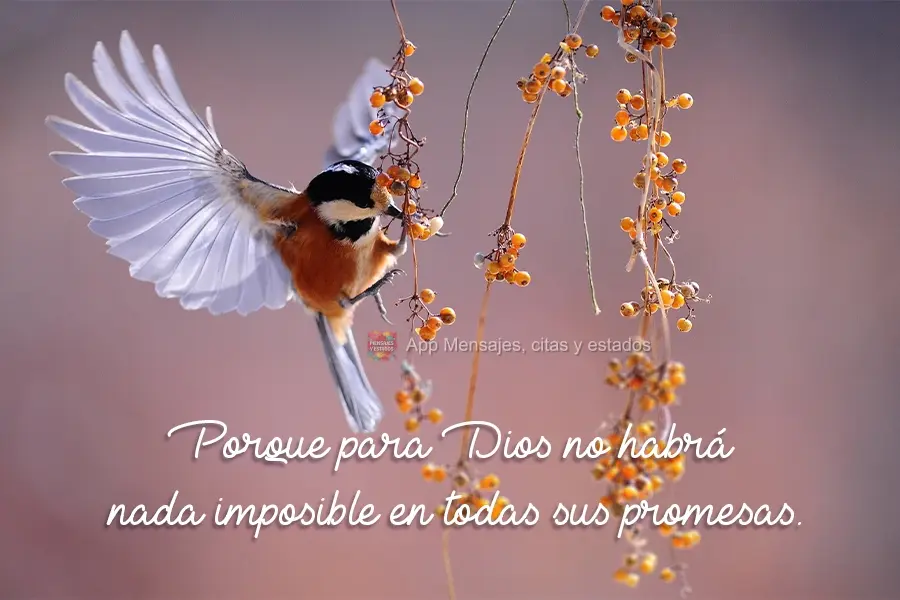 Porque para Dios no habrá nada imposible en todas sus promesas.