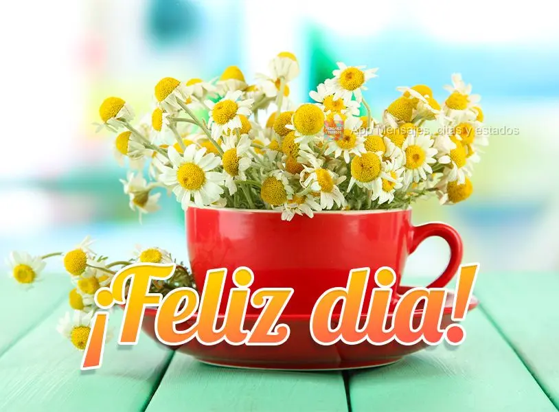 ¡Feliz dia!