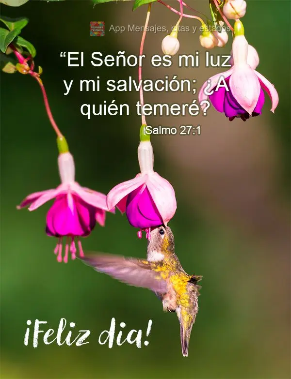 “El Señor es mi luz y mi salvación; ¿A quién temeré? ¡Feliz dia! Salmo 27:1