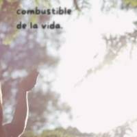 La alegría es el combustible de la vida.