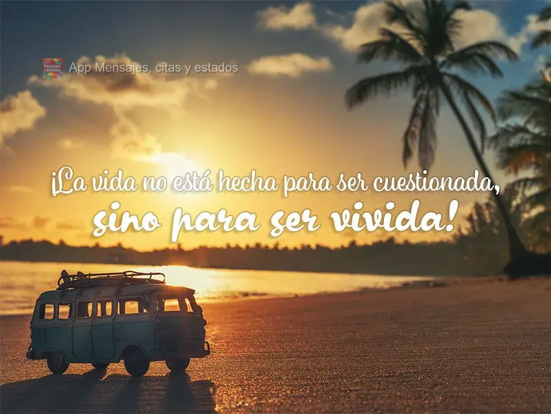 ¡La vida no está hecha para ser cuestionada, sino para ser vivida!