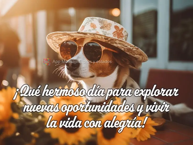 ¡Qué hermoso día para explorar nuevas oportunidades y vivir la vida con alegría!