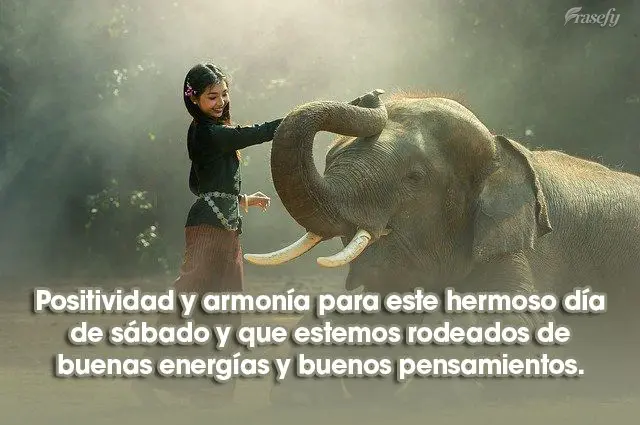 Positividad y armonía para este hermoso día de sábado y que estemos rodeados de buenas energías y buenos pensamientos.