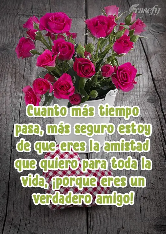 Quanto mais o tempo passa, mais eu tenho certeza que você é aquela amizade que quero pra vida toda, porque você é um amigo de verdade!
