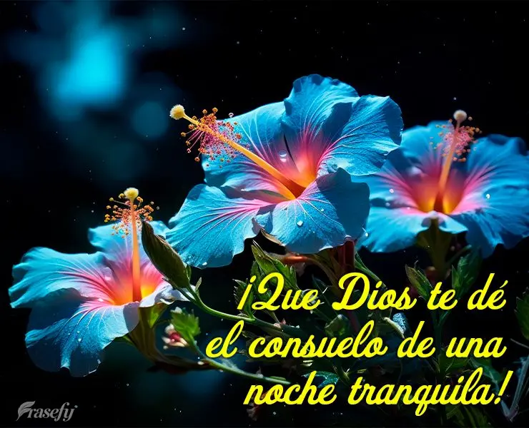 ¡Que Dios te dé el consuelo de una noche tranquila!