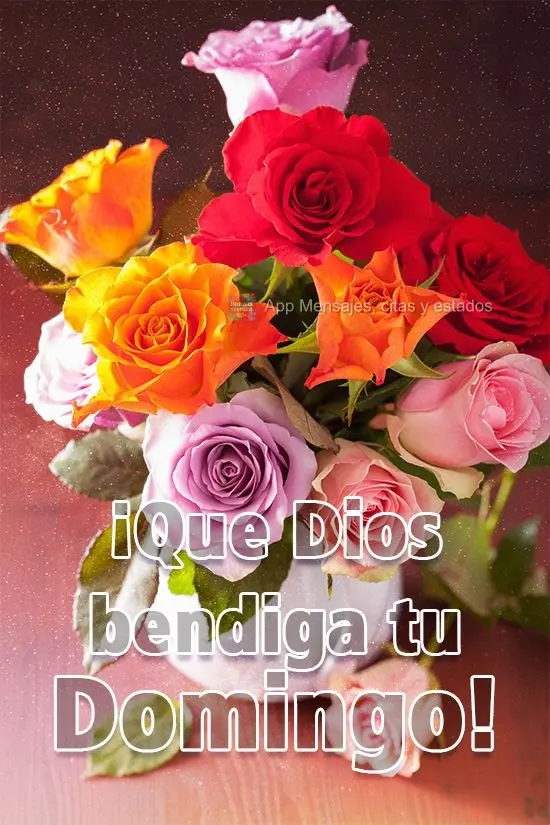 ¡Que Dios bendiga tu domingo!