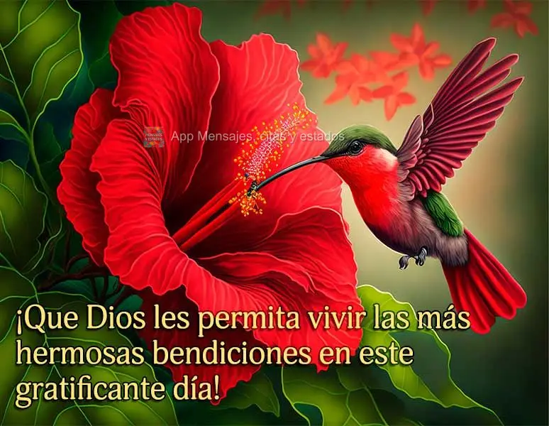 ¡Que Dios les permita vivir las más hermosas bendiciones en este gratificante día!