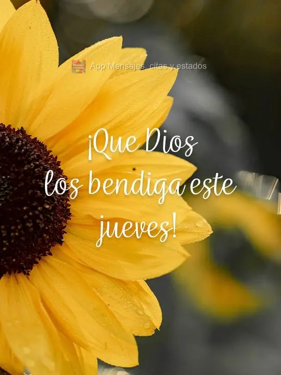 ¡Que Dios los bendiga este jueves!