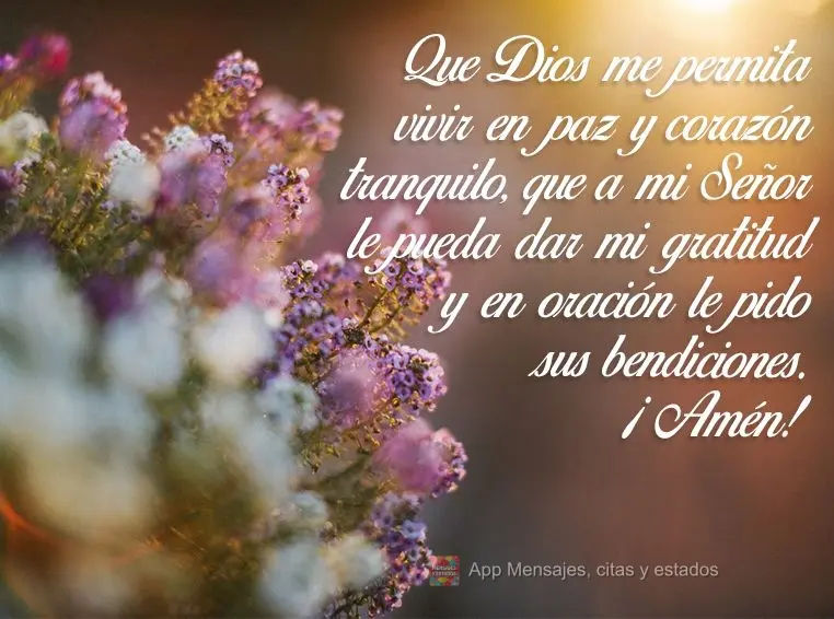 Que Dios me permita vivir en paz y corazón tranquilo, que a mi Señor le pueda dar mi gratitud y en oración le pido sus bendiciones. ¡Amén!