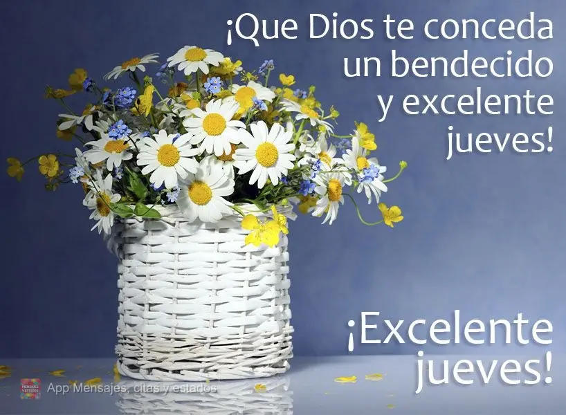 ¡Que Dios te conceda un bendecido y excelente jueves!  ¡Excelente jueves!