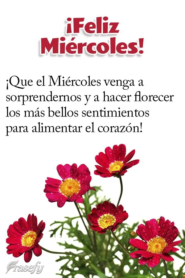 ¡Que el miércoles venga a sorprendernos y a hacer florecer los más bellos sentimientos para alimentar el corazón! ¡Feliz miércoles!
