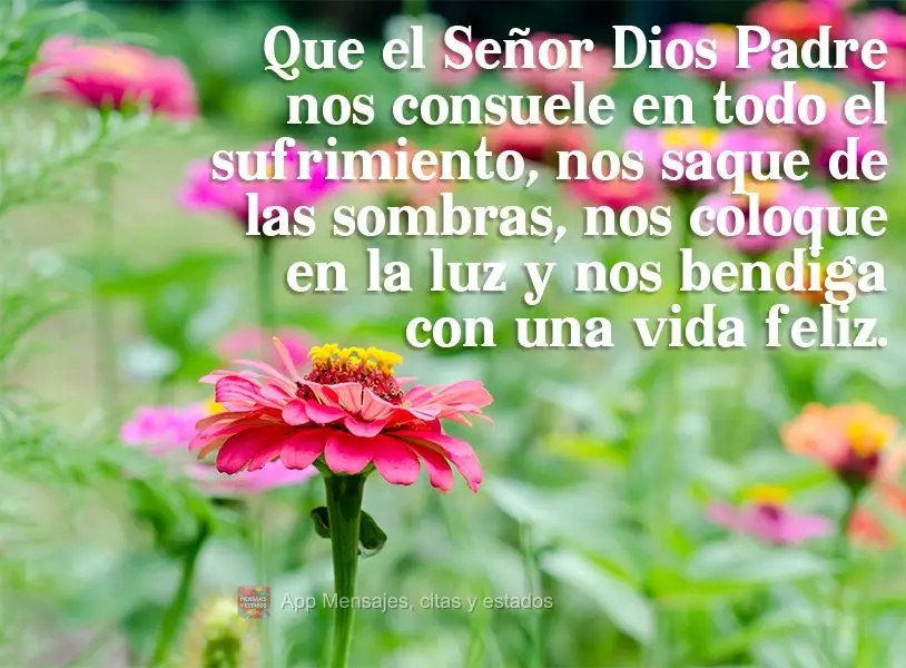Que el Señor Dios Padre nos consuele en todo el sufrimiento, nos saque de las sombras, nos coloque en la luz y nos bendiga con una vida feliz.
