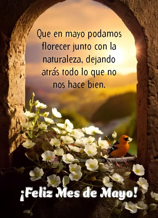 Que en mayo podamos florecer junto con la naturaleza, dejando atrás todo lo que no nos hace bien. ¡Feliz mes de mayo!