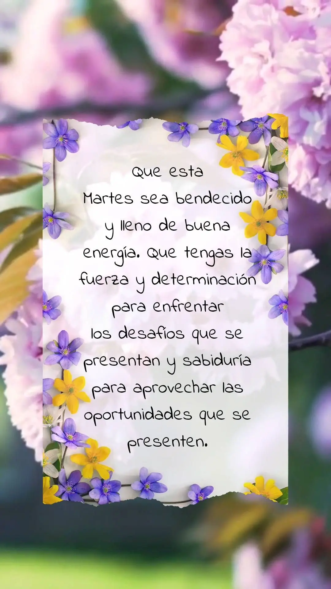 Que esta
Martes sea bendecido y lleno de buena energía.
Que tengas la fuerza y ​​determinación para enfrentar
los desafíos que se presentan y s...
