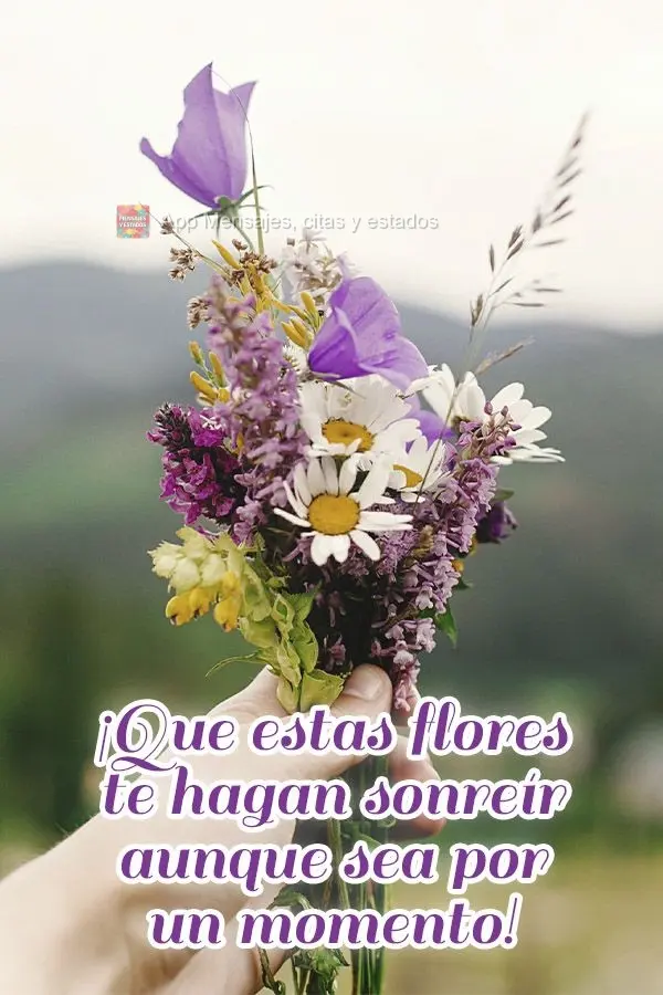 ¡Que estas flores te hagan sonreír aunque sea por un momento!