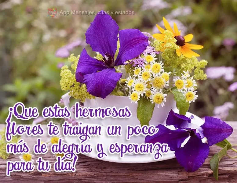 ¡Que estas hermosas flores te traigan un poco más de alegría y esperanza para tu día!