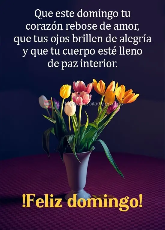 Que este domingo tu corazón rebose de amor, que tus ojos brillen de alegría y que tu cuerpo esté lleno de paz interior. ¡Feliz domingo!