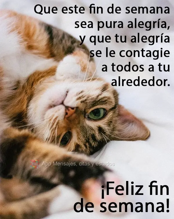 Que este fin de semana sea pura alegría, y que tu alegría se le contagie a todos a tu alrededor. ¡Feliz fin de semana!